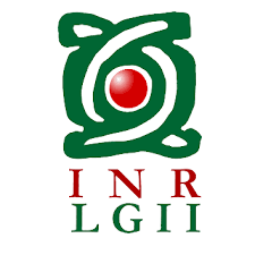 logo instituto nacional de rehabilitacion
